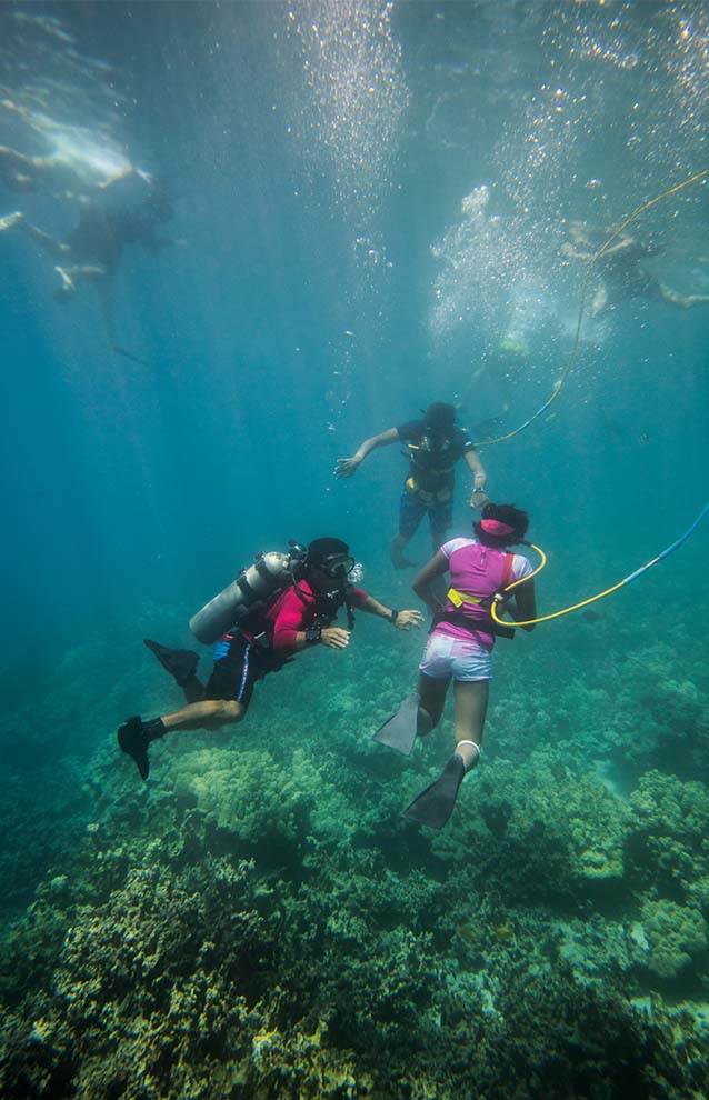 Underwater photos of three divers near reefs, snorkeling.