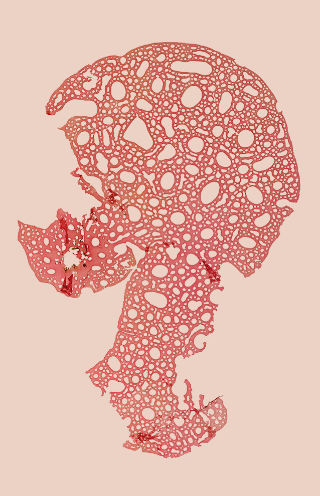 a red and white pattern
