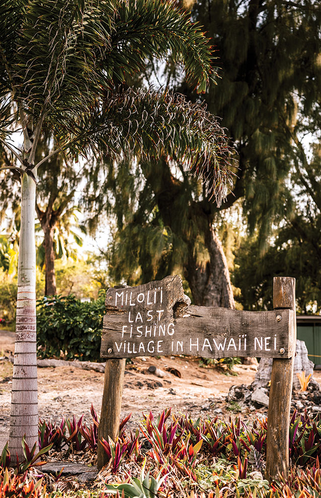 a sign with a palm tree in the background