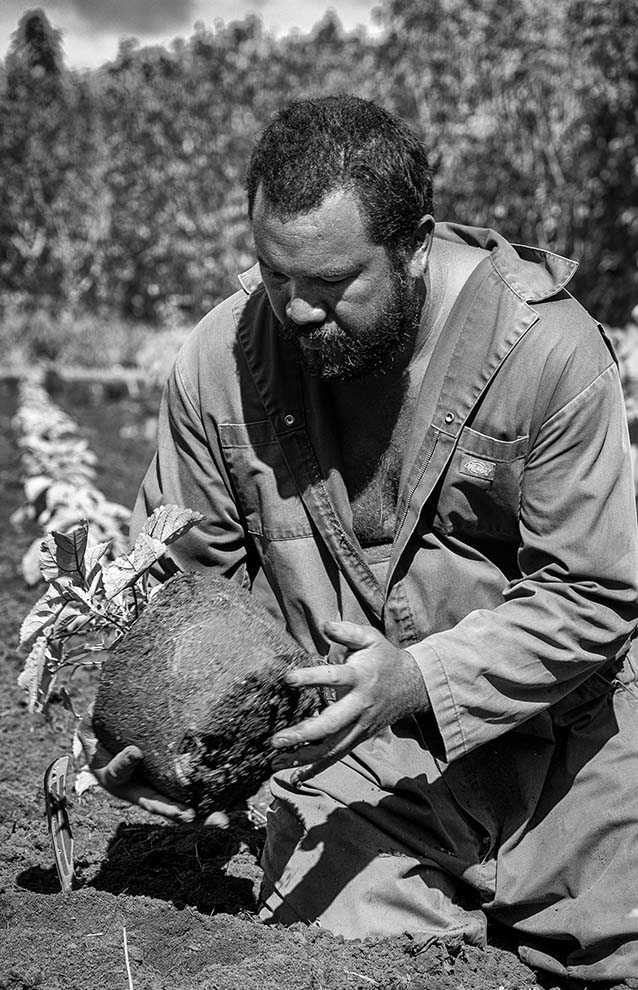 a person holding a plant
