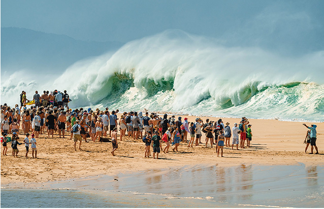 a group of people on a beach