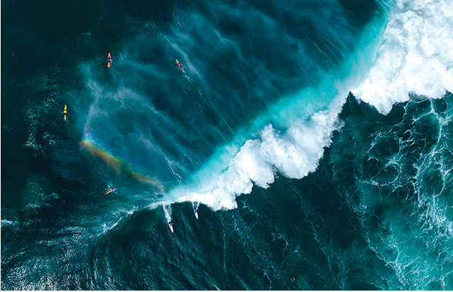 a group of people surfing in the ocean