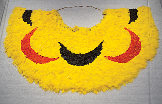 a yellow and black feathered bib