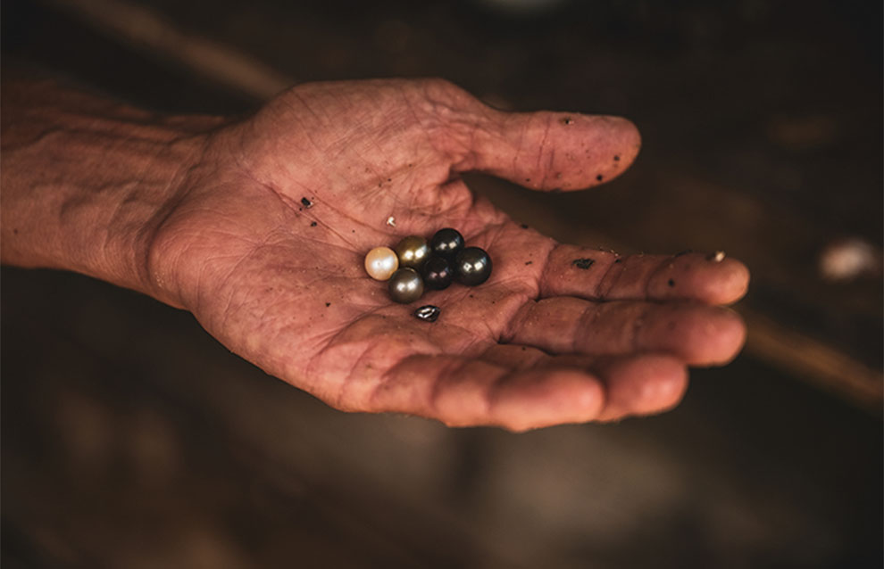 a hand holding several small black and white pearls