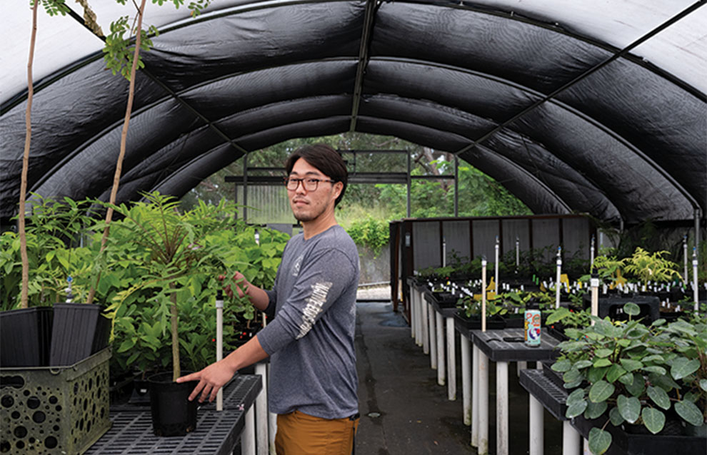 a person standing in a greenhouse