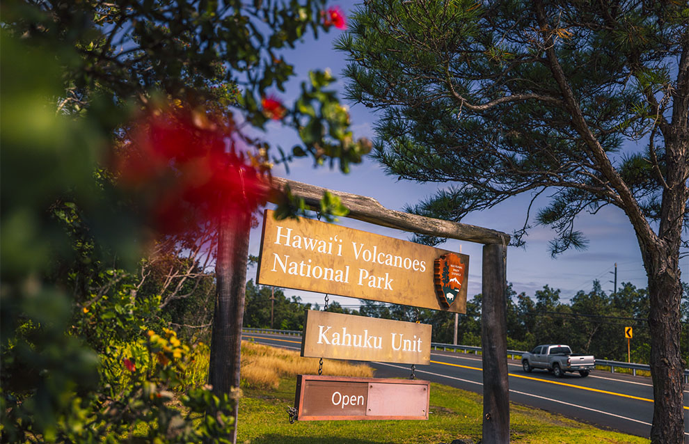 a sign surrounded by plants and flowers