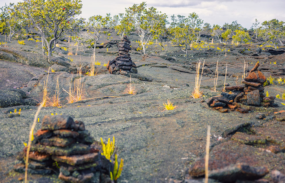 Stone ahu (cairns) built by the National Park Service guide the way across the 1868 lava flow on the Kahuku Unit’s Pu‘u o Lokuana Trail