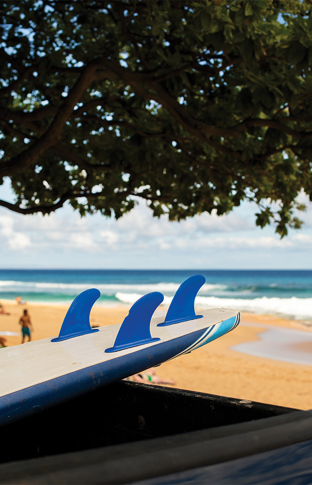 the back of the surfboard with the background of the beach partially covered by a tree