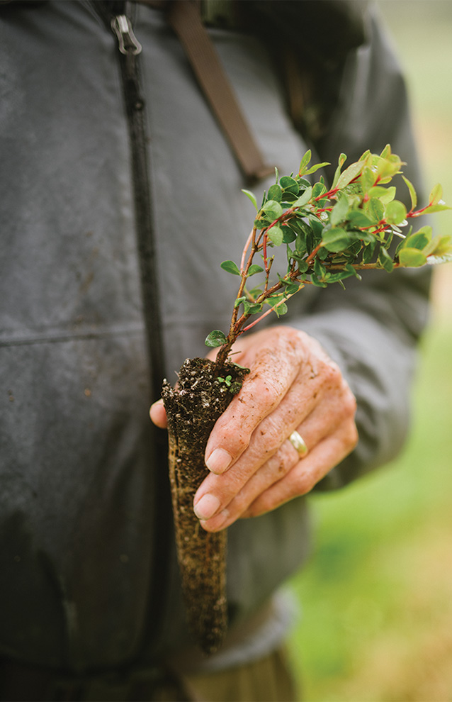a closeup of a someone holding a small planter with a sprouting plant