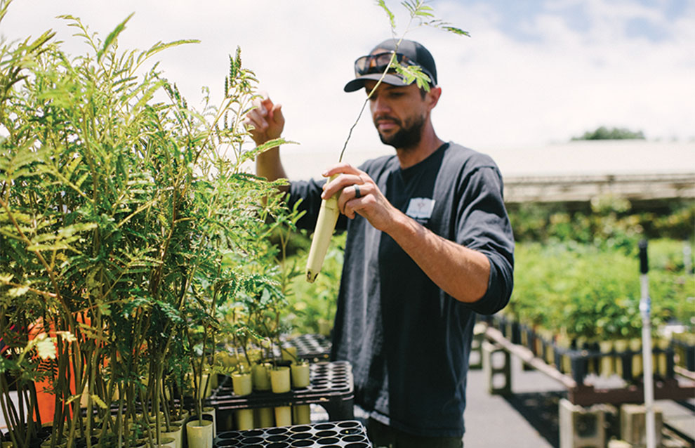 a person tends to plants