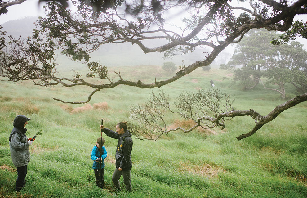 a grassy landscape with three people standing around